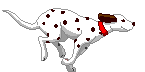 /Amebis/wxWidgets/raw/commit/6d50049a5c4a04f10df683482b51e10c2d65ef84/wxPython/demo/bitmaps/AG00185_.gif
